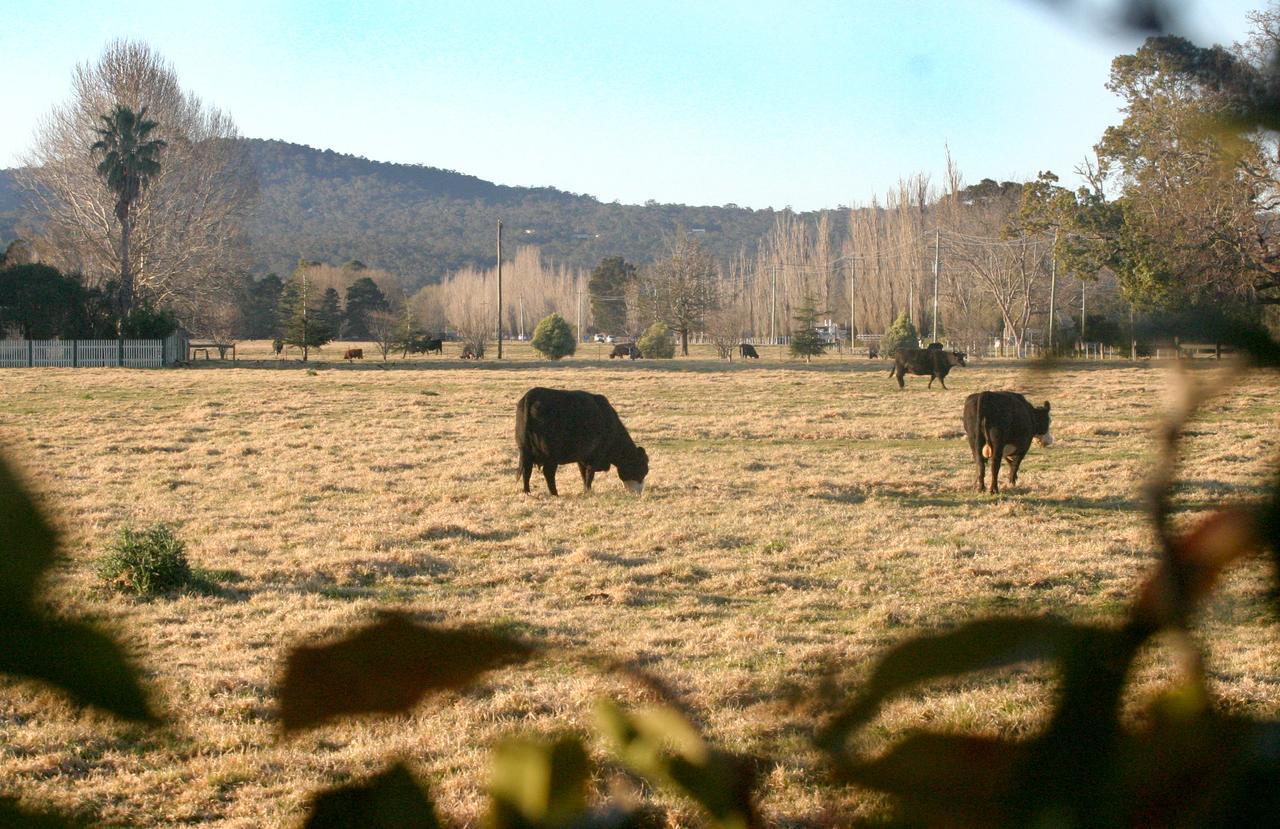 Moruya Holiday Park Dış mekan fotoğraf